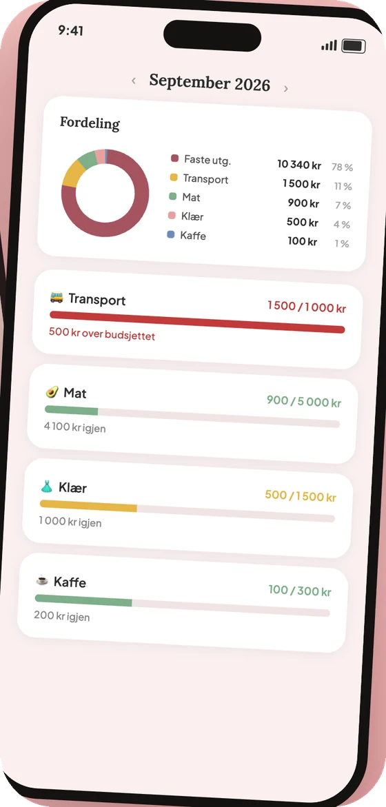 Fordeling i Lomma: ringdiagram og kategorier med hvor mye som er brukt av hver grense.